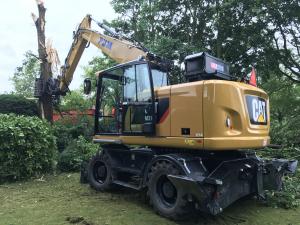 Bliksem inslag in boom - CATM316F